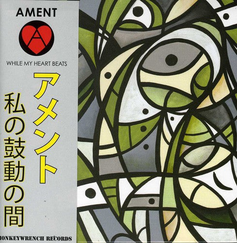 the album cover for Jeff Ament - While My Heart Beats