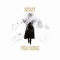 the album cover for Estasy - Wild Songs
