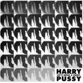 the album cover for Harry Pussy - Let's Build a Pussy