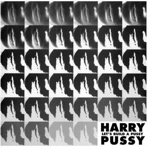 the album cover for Harry Pussy - Let's Build a Pussy