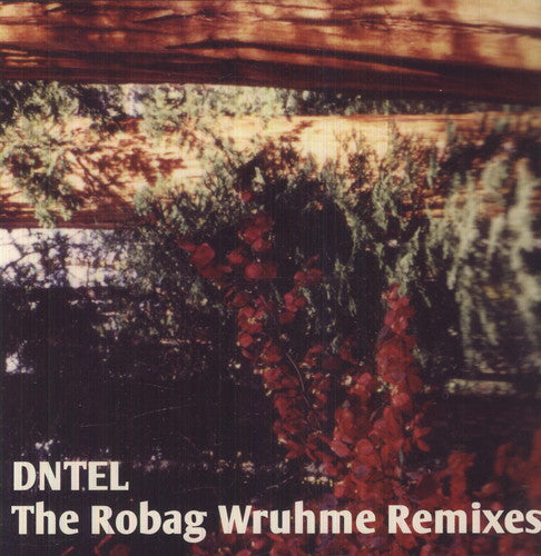 the album cover for Dntel - The Robag Wruhme Remixes