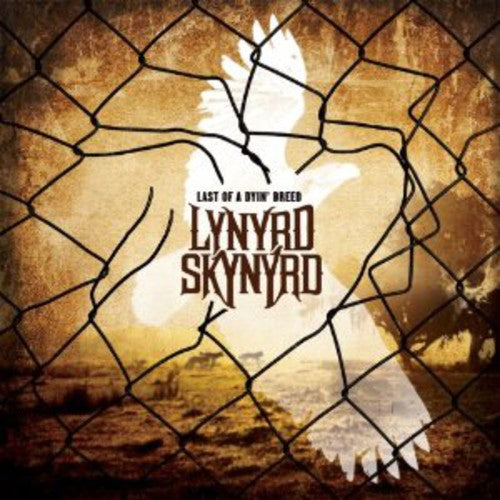 the album cover for Lynyrd Skynyrd - Last of a Dyin Breed