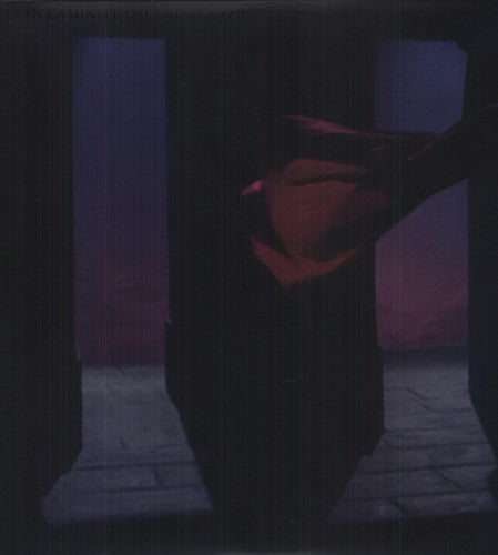 the album cover for Evan Caminiti - Dreamless Sleep