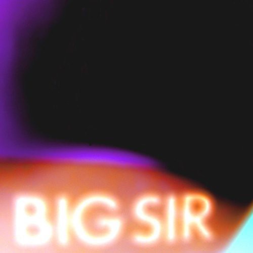 the album cover for Big Sir - Before Gardens After Gardens
