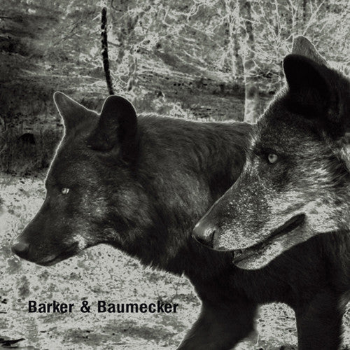 the album cover for Barker & Baumecker - Transsektoral