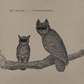 the album cover for Neil Halstead - Palindrome Hunches
