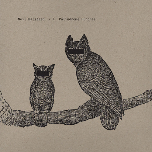 the album cover for Neil Halstead - Palindrome Hunches