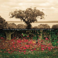 the album cover for Dave Douglas - Be Still