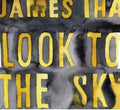 the album cover for James Iha - Look to the Sky