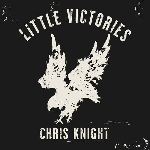 the album cover for Chris Knight - Little Victories