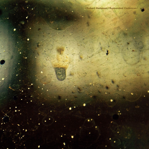 the album cover for Robert Hampson - Suspended Cadences
