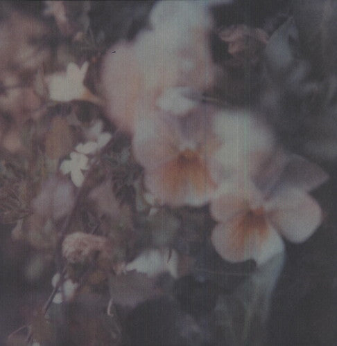 the album cover for Every Hidden Color - Luz