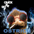 the album cover for Crack The Sky - Ostrich