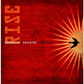 the album cover for Annabelle Chvostek - Rise