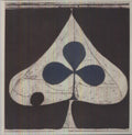the album cover for Grizzly Bear - Shields