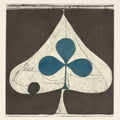 the album cover for Grizzly Bear - Shields