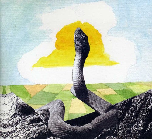 the album cover for Woods - Bend Beyond