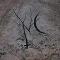 the album cover for Nettlecarrier - Nettlecarrier