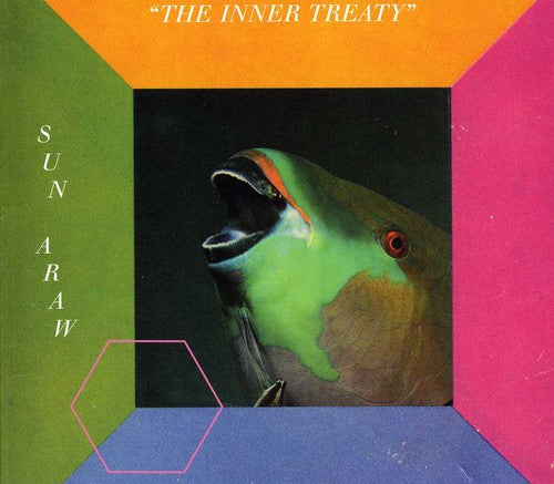the album cover for Sun Araw - The Inner Treaty
