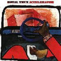 the album cover for Royal Trux - Accelerator