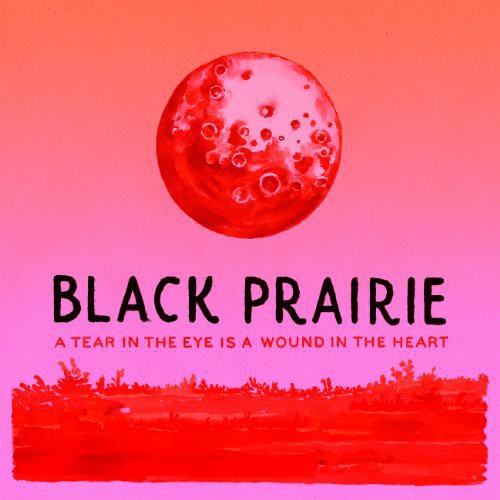 the album cover for Black Prairie - A Tear In The Eye Is A Wound In The Heart