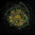 the album cover for Albert Swarm - Wake