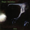 the album cover for Angst Skvadron - Flukt