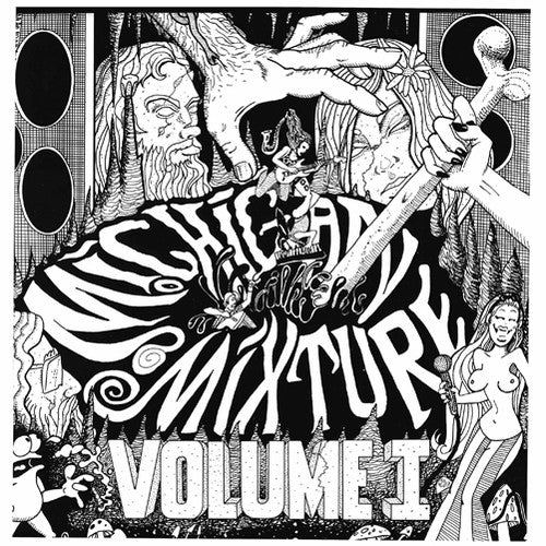the album cover for Michigan Mixture - Michigan Mixture, Vol. 1