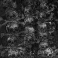the album cover for Secret - Agnus Dei