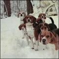 the album cover for Beirut - East Harlem