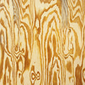 the album cover for Mazes - Wooden Aquarium
