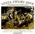 the album cover for Delta Swamp Rock More Sounds From The South - Delta Swamp Rock, Vol. 2