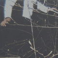 the album cover for Cemeteries - The Wilderness