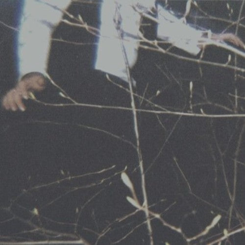 the album cover for Cemeteries - The Wilderness