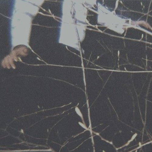 the album cover for Cemeteries - The Wilderness