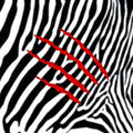 the album cover for Harmonic 313 - Lion