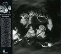 the album cover for Phantom Orchard Orchestra - Trouble in Paradise