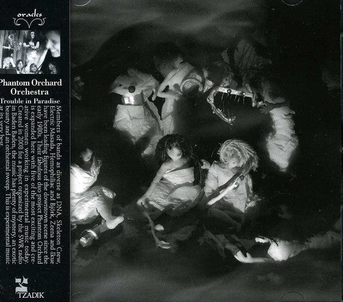 the album cover for Phantom Orchard Orchestra - Trouble in Paradise