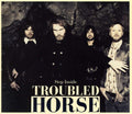 the album cover for Troubled Horse - Step Inside