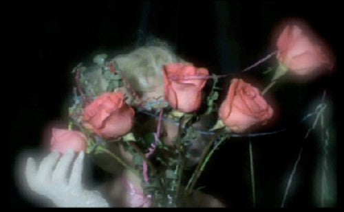 the album cover for Profligate - Videotape