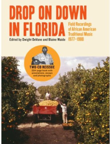 the album cover for Drop On Down In Florida Field Recordings Of Afric - Drop On Down In Florida