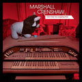 the album cover for Marshall Crenshaw - I Don't See You Laughing Now