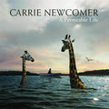 the album cover for Carrie Newcomer - A Permeable Life