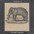 the album cover for Michael Chapman - Pachyderm