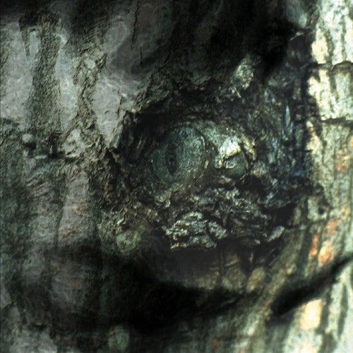 the album cover for Yann Tiersen - La Valse Des Monstres
