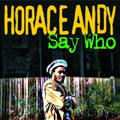 the album cover for Horace Andy - Who Say