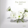 the album cover for Pop Ambient 2013 - Pop Ambient 2013