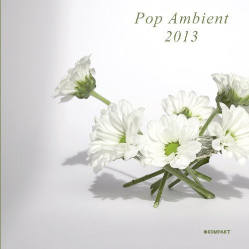 the album cover for Pop Ambient 2013 - Pop Ambient 2013