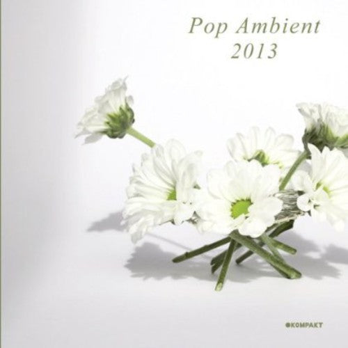 the album cover for Pop Ambient 2013 - Pop Ambient 2013