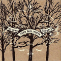 the album cover for John Paul White - The Long Goodbye
